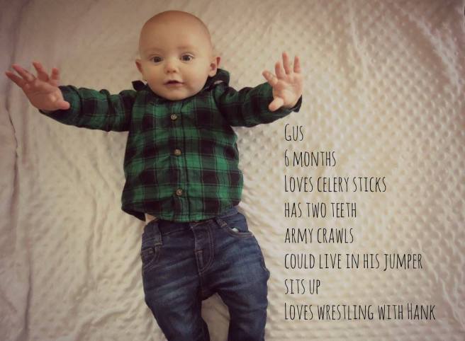 gus 6 mo